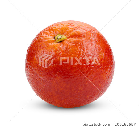red blood orange on white background 109163697