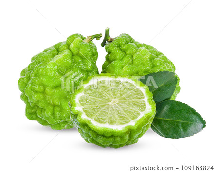 bergamot on white background 109163824