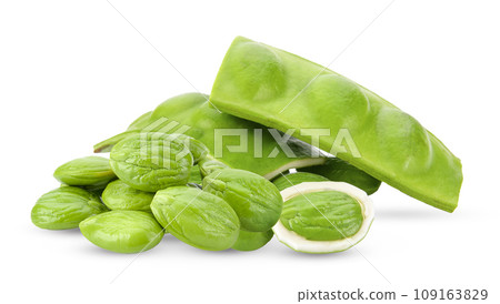 Bitter bean on white background 109163829