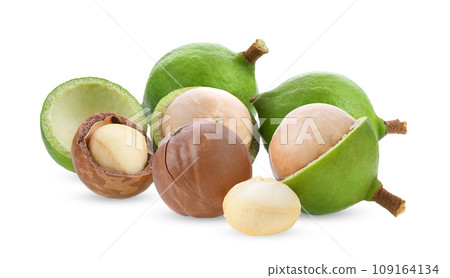macadamia nuts isolated on white background macadamia nuts isolated on white background 109164134
