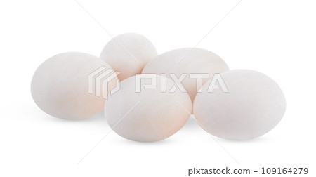 Duck eggs on white background Duck eggs on white background 109164279