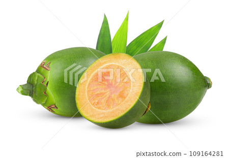 Fresh betel nut isolated on white background 109164281