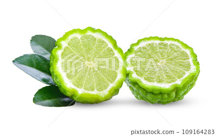 bergamot on white background 109164283