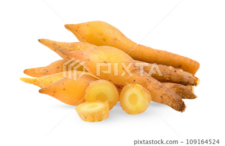 Finger root on white background 109164524