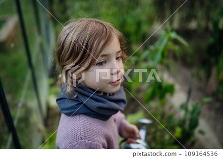 Little girl watering plants in garden, using collected rainwater. Concept of water conservation in garden and family gardening. Little girl watering plants in garden, using collected rainwater. Concept of water conservation in garden and family gardening. 109164536
