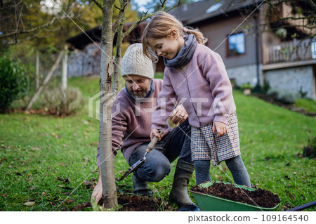 Girl and father planting tree in garden in the spring, using compost. Concept of sustainable gardening family gardening. 109164540