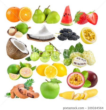 orange; pear; macadamia; watermelon; Strawberry; coconut; Mulberry; Indian gooseberry; Noni; Areca nut; lemon; Tamarind; passion fruits; apple; banana, on white background orange; pear; macadamia; watermelon; Strawberry; coconut; Mulberry; Indian gooseberry; Noni; Areca nut; lemon; Tamarind; passion fruits; apple; banana, on white background 109164564