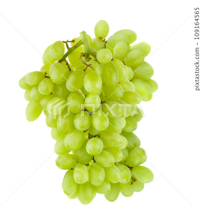green grapes Isolated on white background green grapes Isolated on white background 109164565