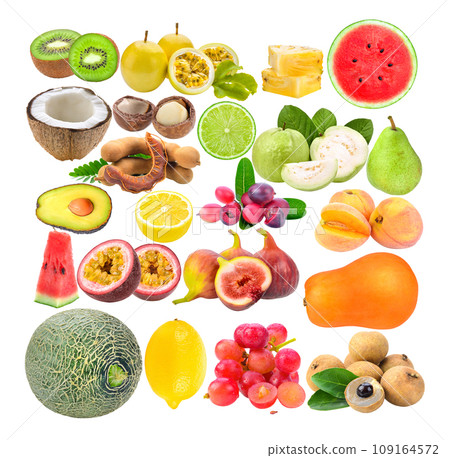 kiwi; passion fruit; coconut; macadamia; pineapple; watermelon; lime; guava; bengal-currants; lemon; Tamarind; Peach; fig; orange; papaya; longan; grape; melon; Avocado on white background kiwi; passion fruit; coconut; macadamia; pineapple; watermelon; lime; guava; bengal-currants; lemon; Tamarind; Peach; fig; orange; papaya; longan; grape; melon; Avocado on white background 109164572