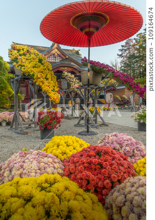 茨城家族笠間市笠間稻荷神社菊花節 茨城家族笠間市笠間稻荷神社菊花節 109164674