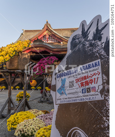 茨城家族笠間市笠間稻荷神社菊花節 茨城家族笠間市笠間稻荷神社菊花節 109164751