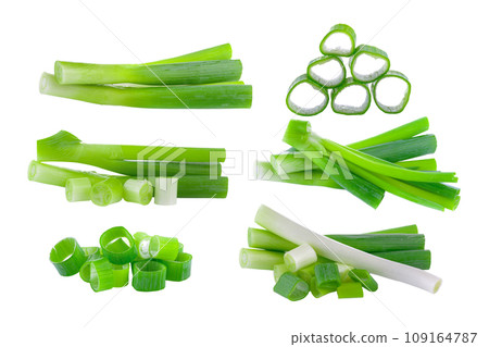 green onion slice on white background 109164787