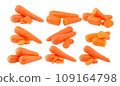 Carrot isolated on white background 109164798