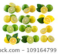 lime isolated on white background 109164799