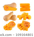 butternut squash on white background 109164801