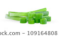 green onion slice on white background 109164808