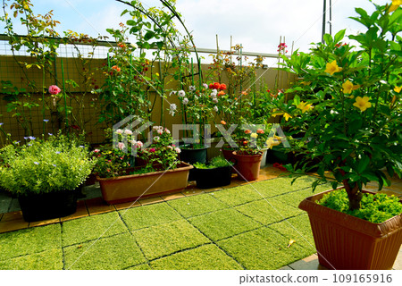 A flower garden full of flowers with a pleasant blue sky and a roof balcony 109165916