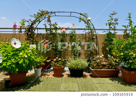 A flower garden full of flowers with a pleasant blue sky and a roof balcony A flower garden full of flowers with a pleasant blue sky and a roof balcony 109165919