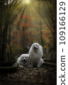 large dog in autumn leaves 109166129