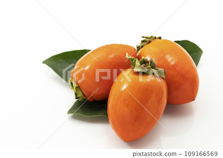 白色背景上的福德柿 109166569