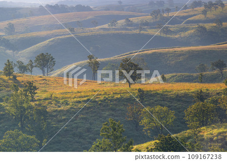 Autumn scenery of the Kusumi Mountain Range seen from Aso Somma Oshido Stone Hill 109167238