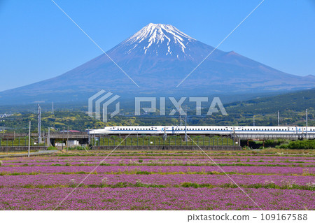 春天、富士山、花畑、新幹線 春天、富士山、花畑、新幹線 109167588
