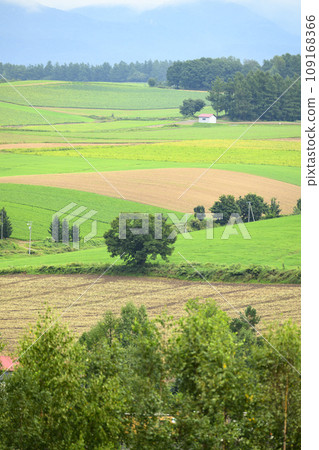 北海道美瑛山 109168366