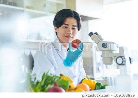 Researchers checking vegetables and fruits Researchers checking vegetables and fruits 109168659