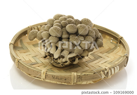 石梅蘑菇放在濾鍋中(白色背景) 石梅蘑菇放在濾鍋中(白色背景) 109169000