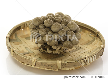 Shimeji mushrooms placed in a colander (white background) Shimeji mushrooms placed in a colander (white background) 109169002