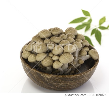 Shimeji mushrooms on a wooden plate, white background 109169023