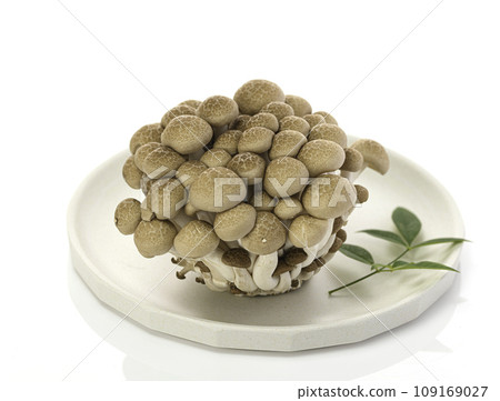 Shimeji mushrooms on a white plate (white background) 109169027