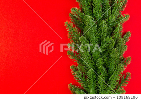 Top view of colorful background made of green fir tree branches. New year holiday concept with copy space 109169190