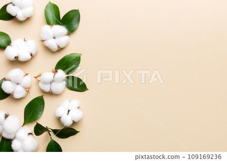 Autumn Floral Flat lay background composition. Dried white fluffy cotton flower branchwith green leaf top view on colored table with copy space Autumn Floral Flat lay background composition. Dried white fluffy cotton flower branchwith green leaf top view on colored table with copy space 109169236
