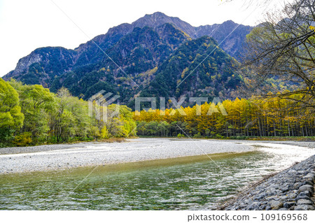 Kamikochi in autumn, Azusa River and larch forest with yellow leaves 109169568