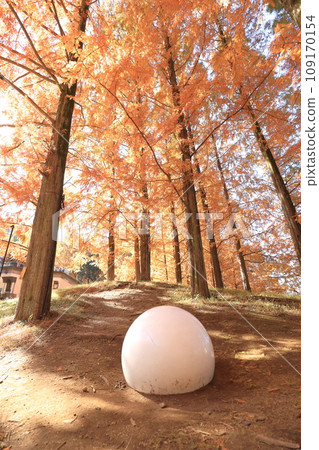 Tobe Jansson Akebono兒童森林公園 Tobe Jansson Akebono兒童森林公園 109170154