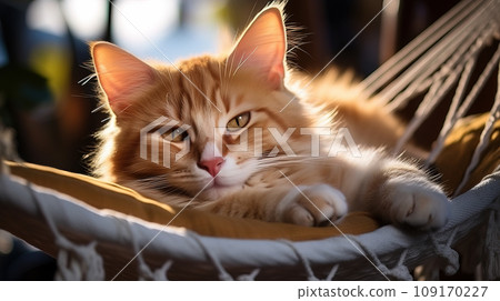 Golden Hour Glow: Ginger Cat Lounging in a Hammock. AI generation Golden Hour Glow: Ginger Cat Lounging in a Hammock. AI generation 109170227