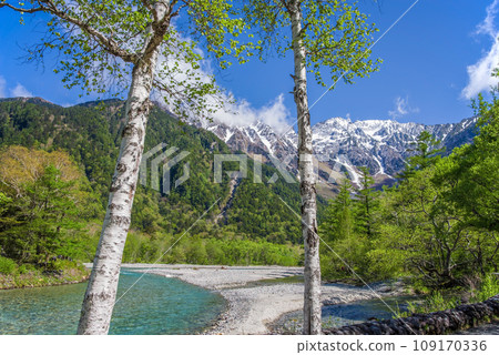 [Fresh green Kamikochi] Flowing Azusa River and remaining snow on the Hotaka Mountain Range 109170336