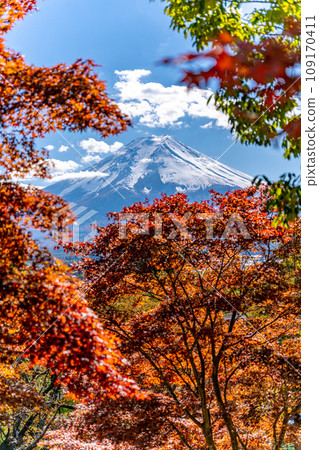 Arakurayama Sengen Park, majestic Mt. Fuji and autumn leaves of cherry blossoms 109170411