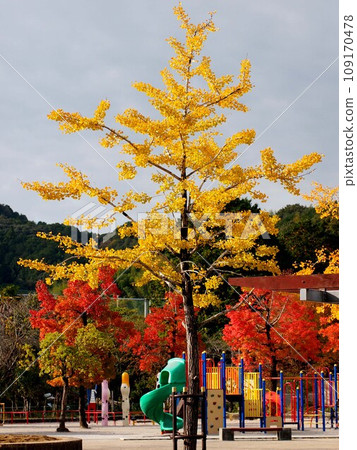秋季神田公園'23（黃色的銀杏樹、遊樂設施和樹木） 109170478