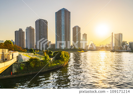 Tower apartment complex along the Sumida River bathed in the setting sun [Chuo-ku, Tokyo] 109171214