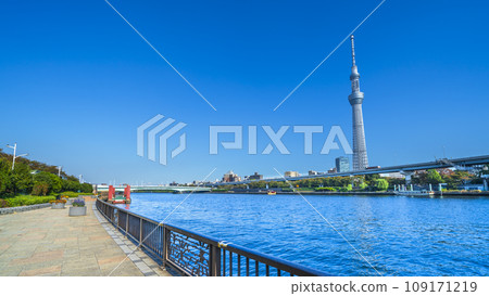 Scenery of Sumida River Terrace, overlooking Skytree, Sakurabashi, etc. [Sumida Ward - Taito Ward, Tokyo] 109171219