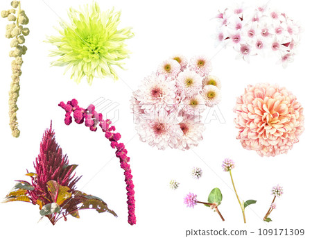Cutout material set-Autumn flowers 3 Cutout material set-Autumn flowers 3 109171309
