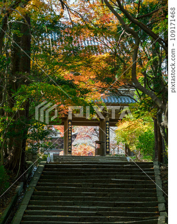 Gate of Chofu Kozanji Temple 109171468