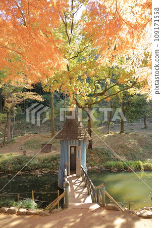 秋葉曙光兒童森林公園池塘上方的藍色建築和黃色的水杉 109171558