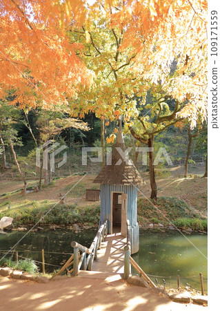 秋葉曙光兒童森林公園池塘上方的藍色建築和黃色的水杉 秋葉曙光兒童森林公園池塘上方的藍色建築和黃色的水杉 109171559