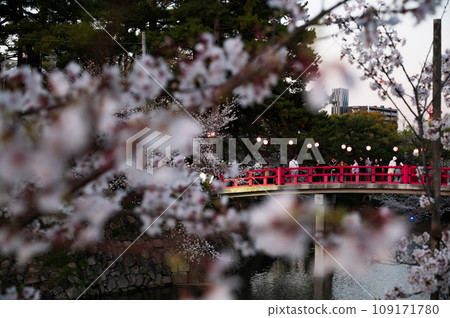 紅色的橋樑和櫻花增添了日本的美麗 109171780