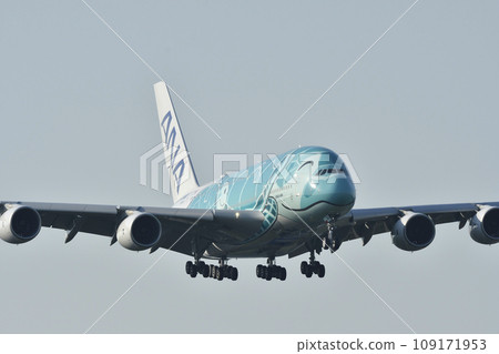airplane, ANA, 380 109171953