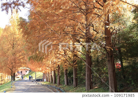 Tobe Jansson Akebono兒童森林公園 Tobe Jansson Akebono兒童森林公園 109171985