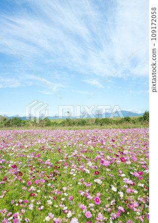 宇宙和藍天仰望秋天的天空 109172058